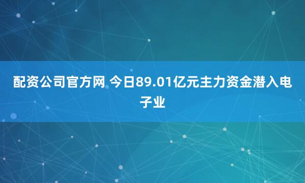 配资公司官方网 今日89.01亿元主力资金潜入电子业