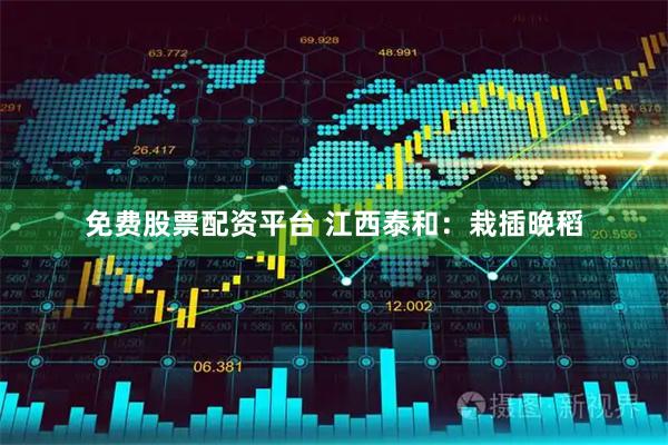 免费股票配资平台 江西泰和：栽插晚稻